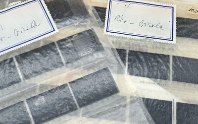Brief No.11