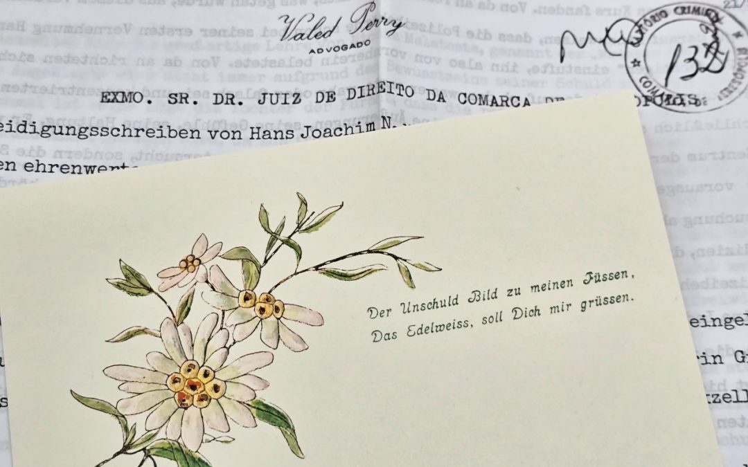Brief No.21